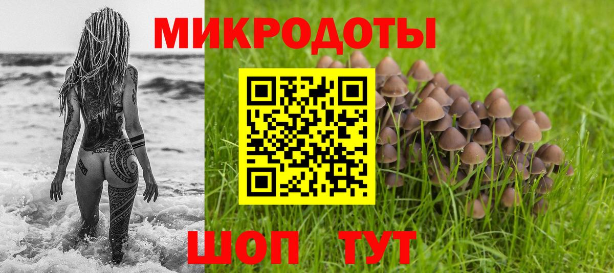 Галлюциногенные грибы мицелий  Галлюциногенные грибы прущие грибы  Вход с VPN  Воронеж 